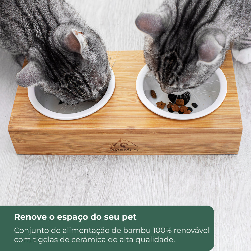 Comedor para Gatos Duplo Elevado em Cerâmica e Bambú