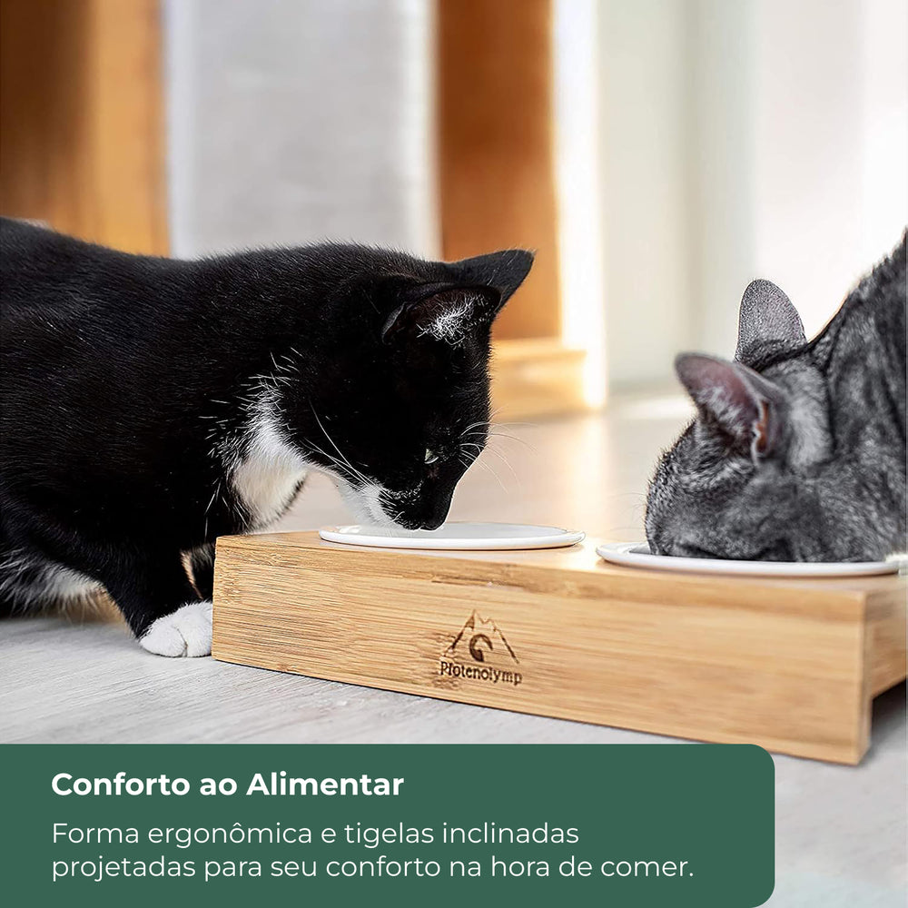 Comedor para Gatos Duplo Elevado em Cerâmica e Bambú