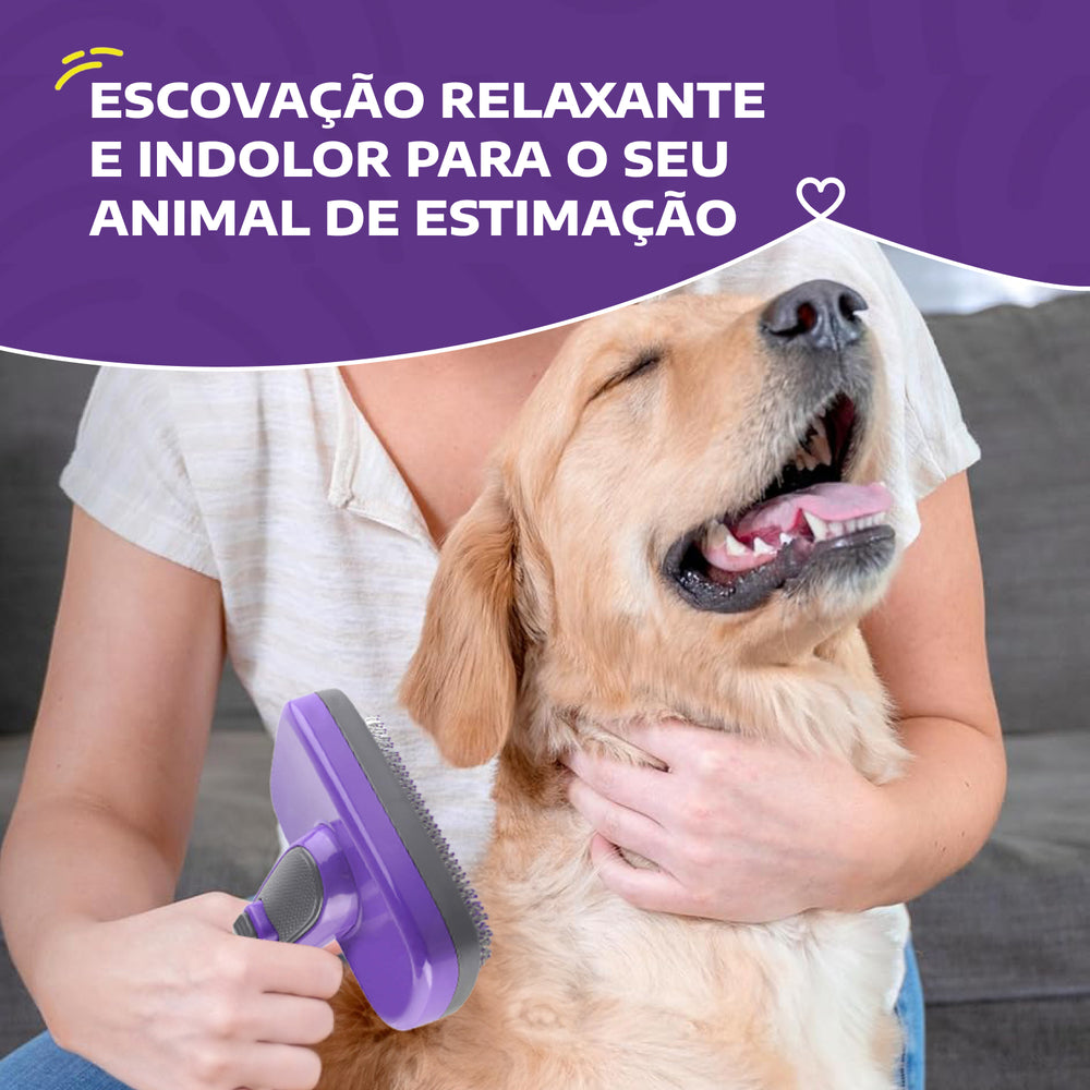 Escova Raspadeira Auto-limpante Hertzko para Cães & Gatos