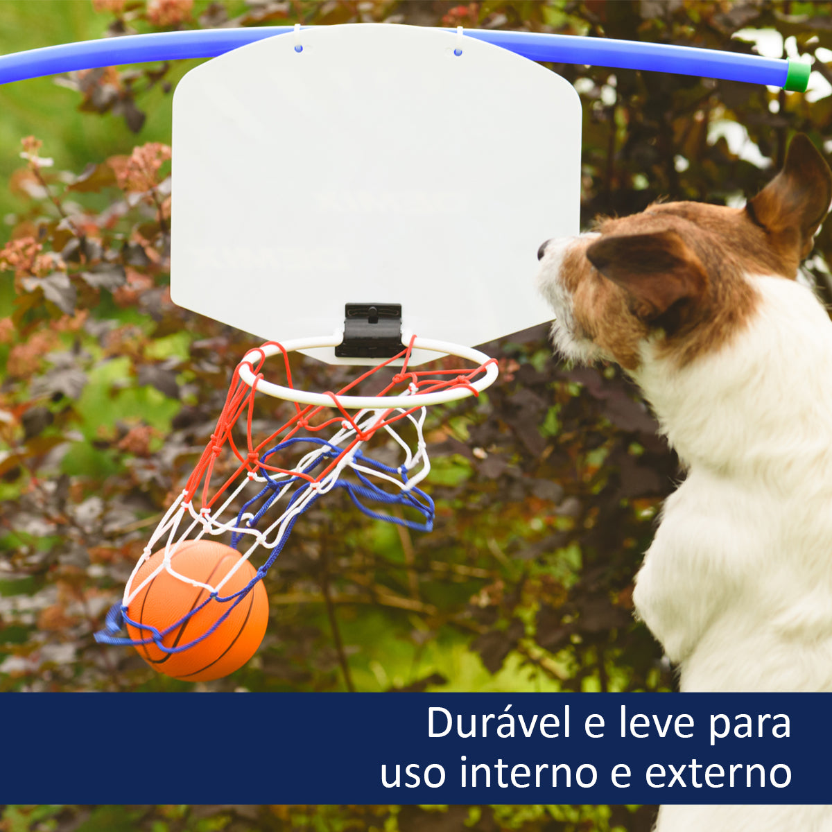 Kit 2 Mini Bolas de Basquete Mais Cesta para Crianças