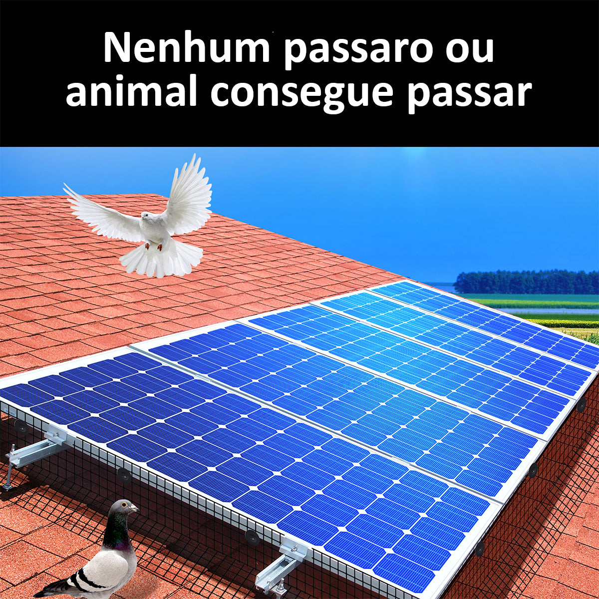 Malha de Proteção de Telha Arame de Aço Galvanizado