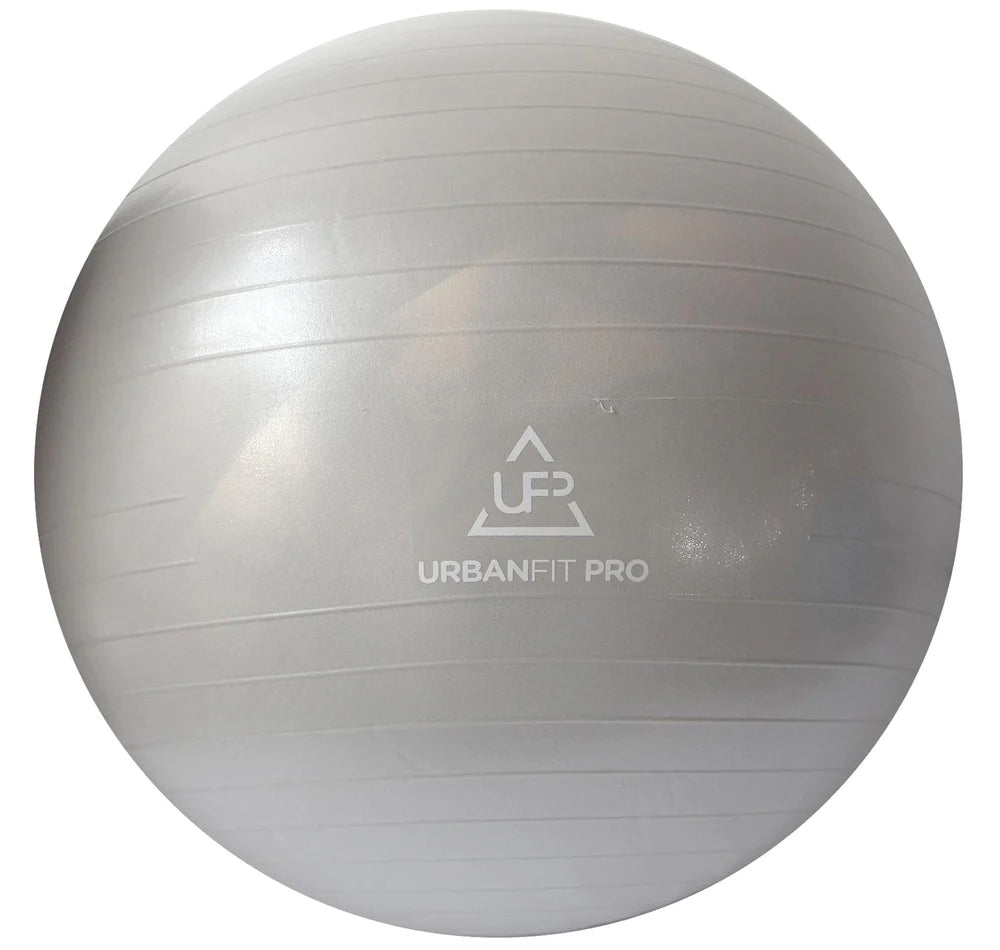 Bola De Pilates Suiça 65cm Com Bomba Yoga Fit Pro Academia