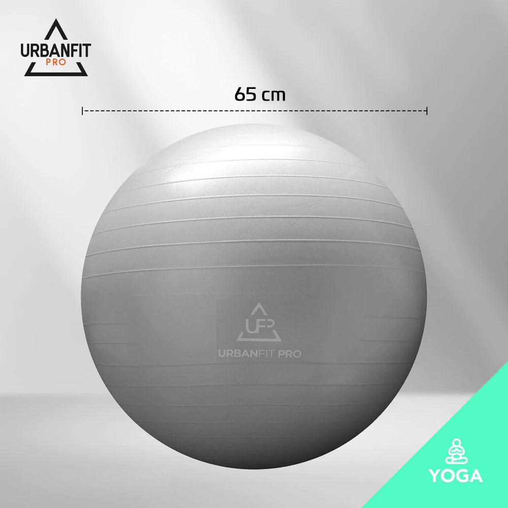 Bola De Pilates Suiça 65cm Com Bomba Yoga Fit Pro Academia